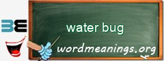 WordMeaning blackboard for water bug